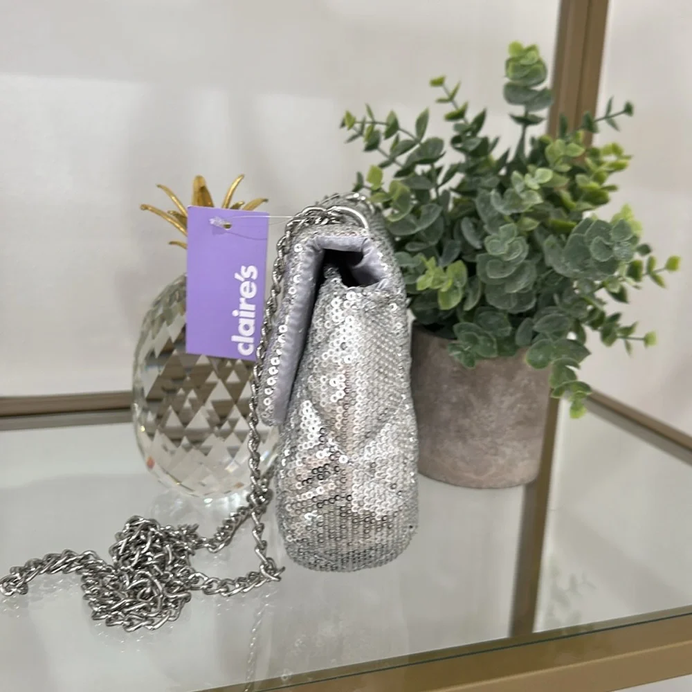 Silver sequin purse